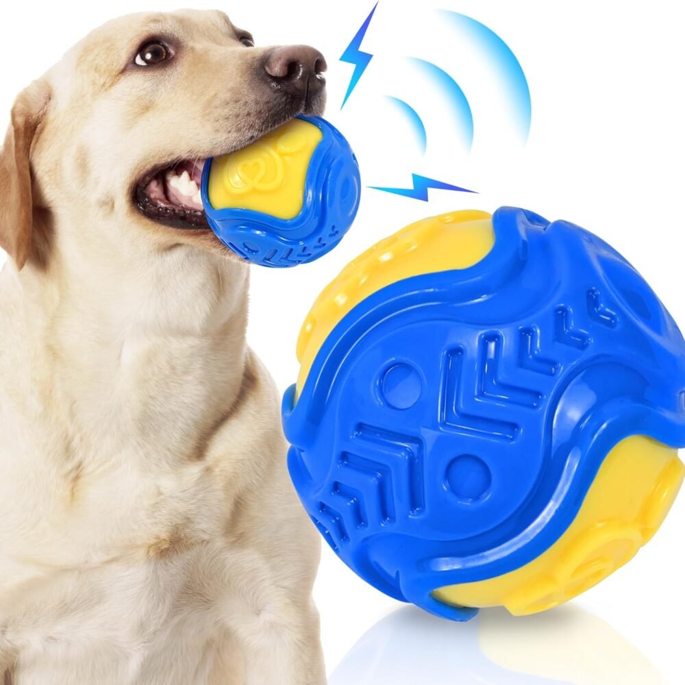 Squeaky Dog Ball Toy